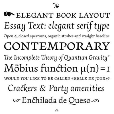 What Font for College Essay: A Typographic Exploration